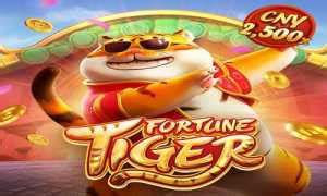 Nustabet Online Casino Latest Articles and News.